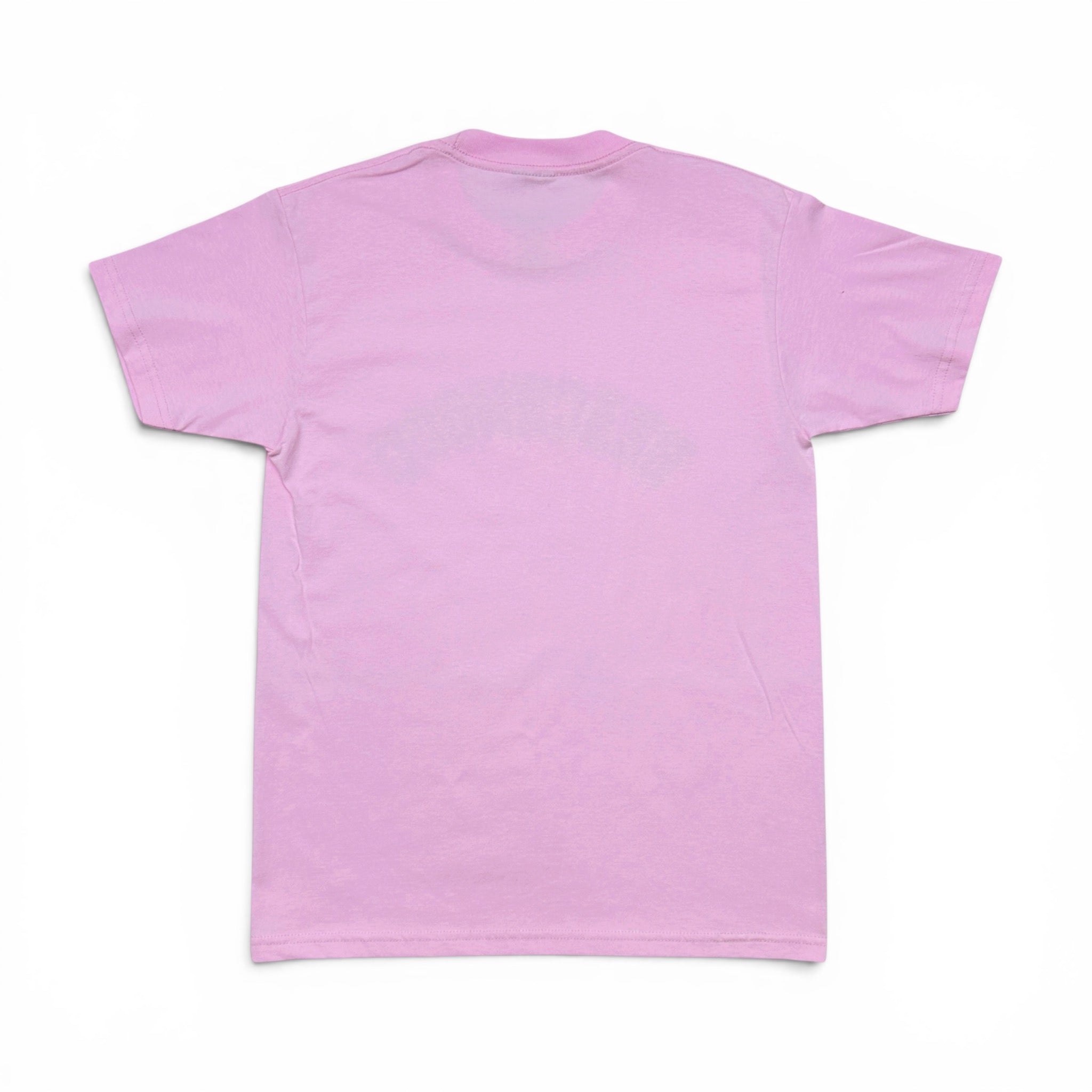 BEACHWOOD VARSITY TEE PINK